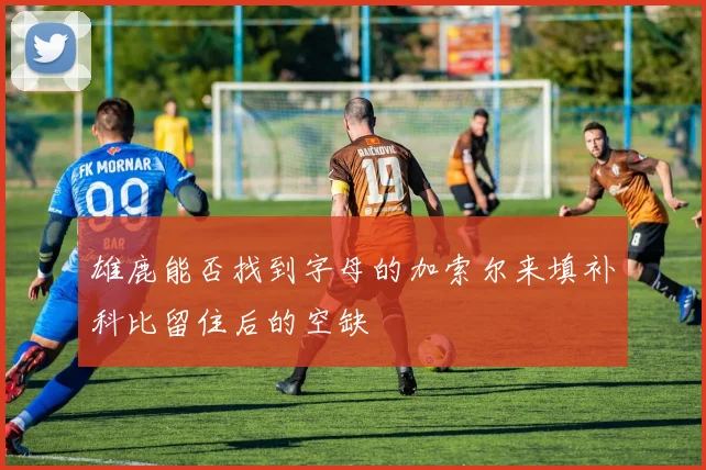 雄鹿能否找到字母的加索尔来填补科比留住后的空缺